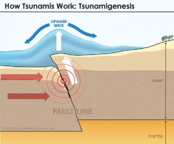 How Tsunamis work