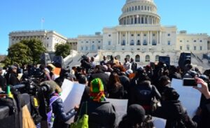 Rallying Voices