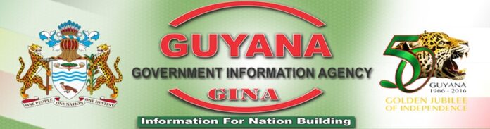 Government Information Agency (GINA)